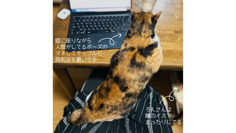 猫とパソコン