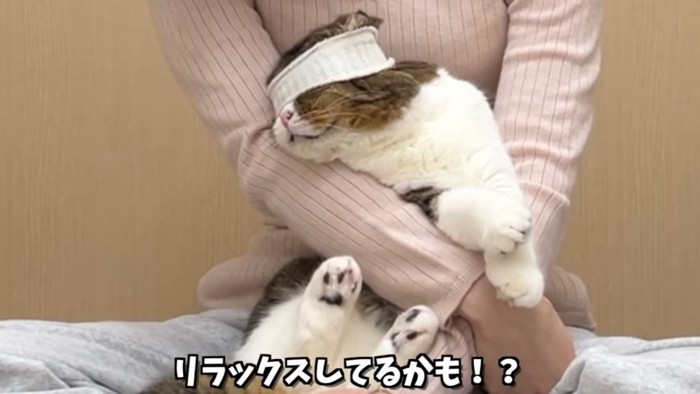 目隠しされるねこ