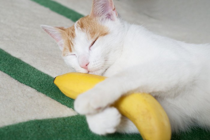 バナナを抱えて寝ている猫