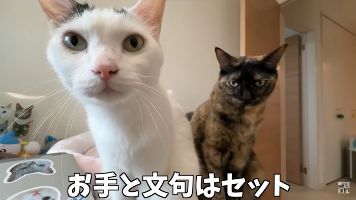 何か言いたげ