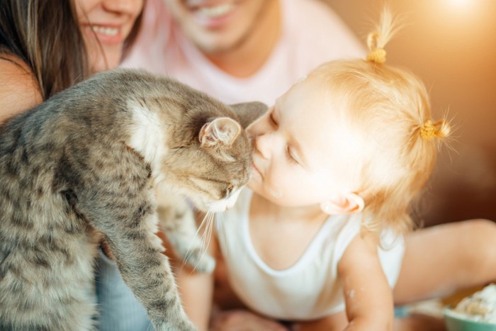 キスをしてもらう猫