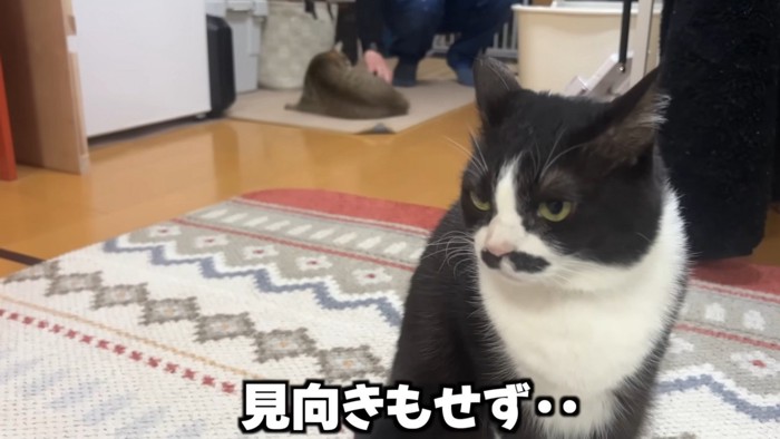 「見向きもせず・・」