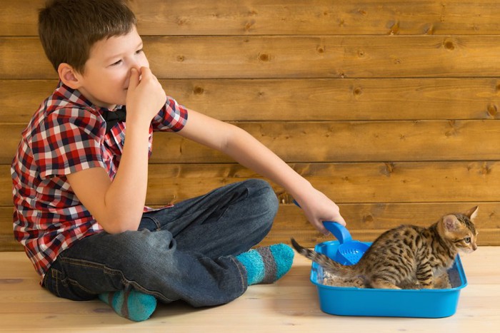 子猫のトイレの臭いで鼻をつまむ男の子