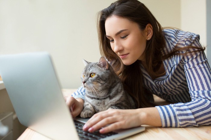 PCで遊ぶ猫と飼い主