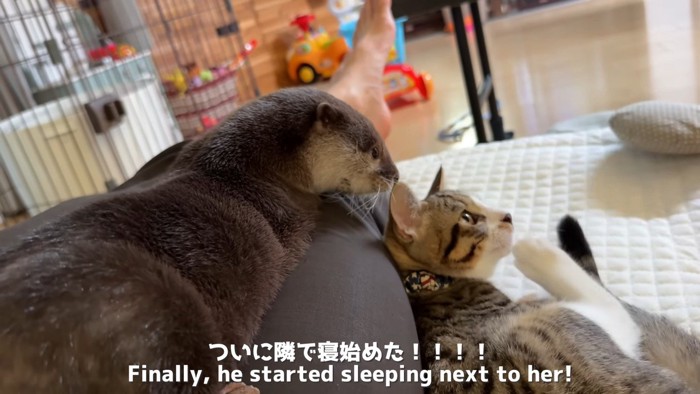 ついに隣で