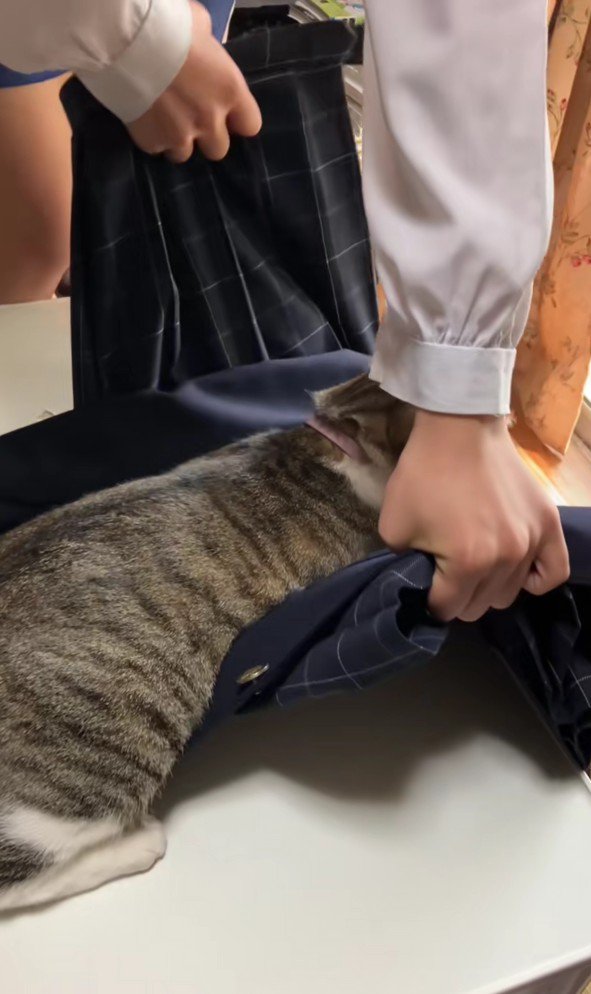 制服を押さえ込む猫