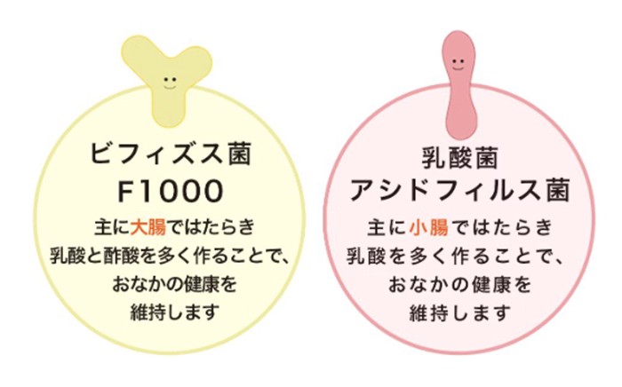 善玉菌の役割イメージ