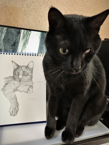 猫の似顔絵と猫