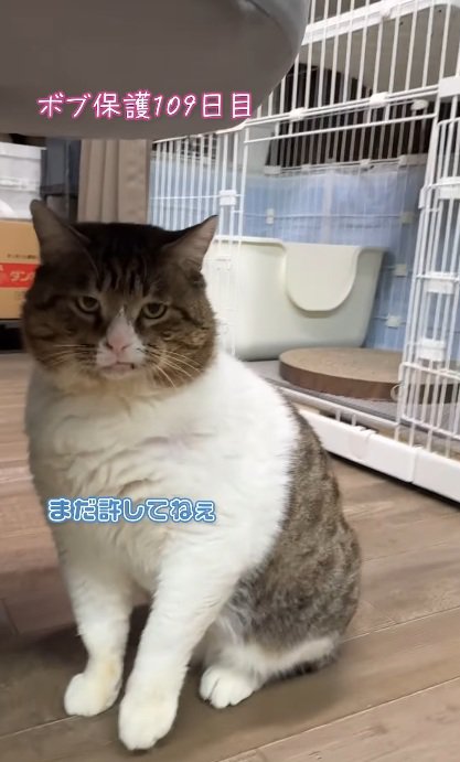 不服