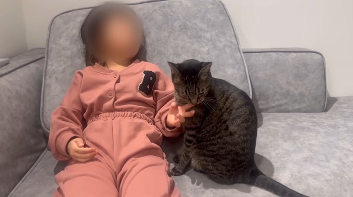 女の子と一緒に座っている猫