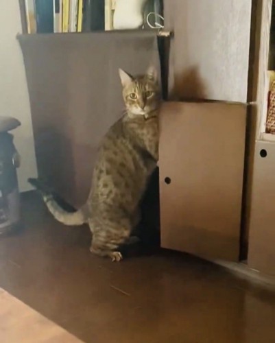 飼い主さんと目が合った！