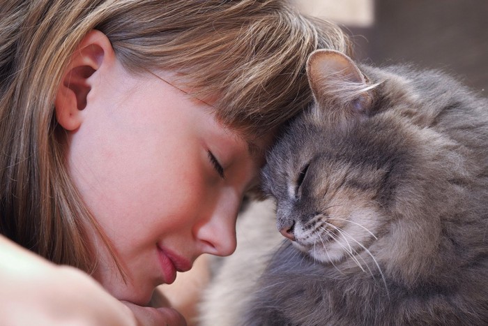 頭をくっつけ合う少女と猫