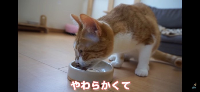 食べる