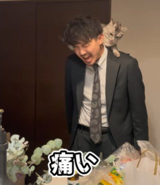 痛がる男性と噛みついた猫