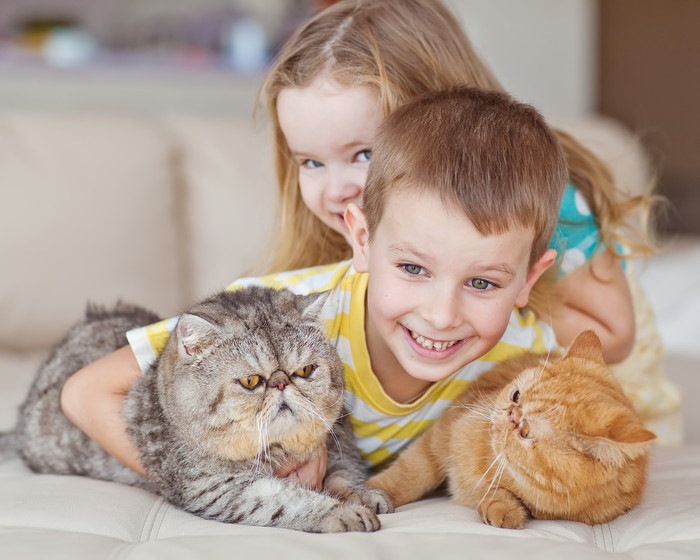 猫2匹と子ども2人