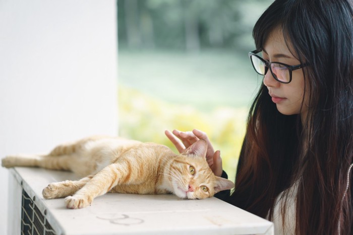 室外機の上で横たわる人懐っこい猫と女性