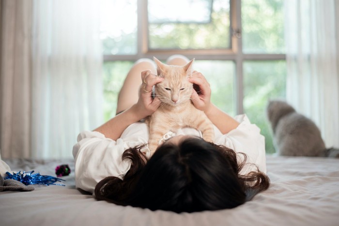 飼い主に乗る猫