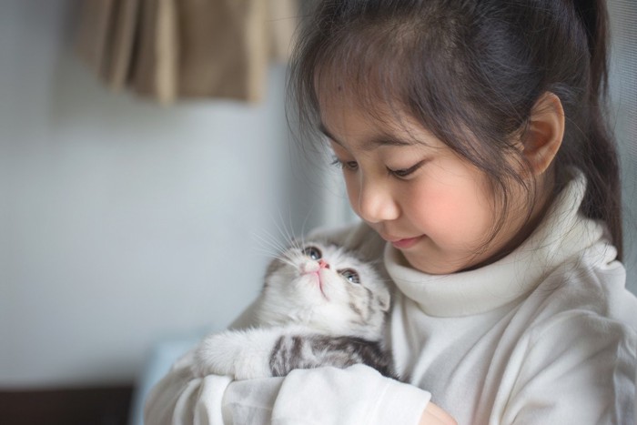 少女と見つめ合う抱かれる子猫