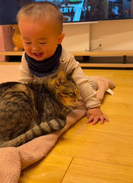 猫をなでる赤ちゃん