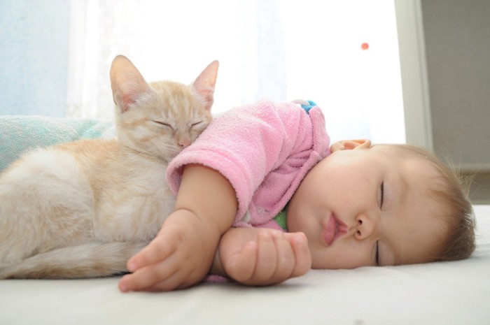 寄り添って眠る赤ちゃんと猫