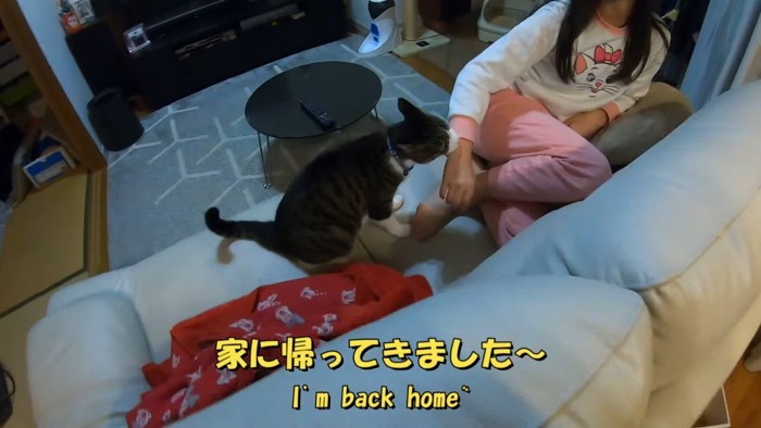 家に帰ってきました