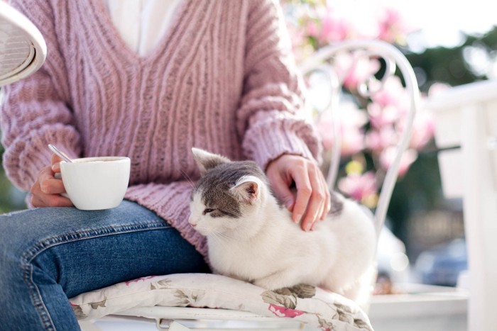 カップを持ちながら猫を撫でる女性