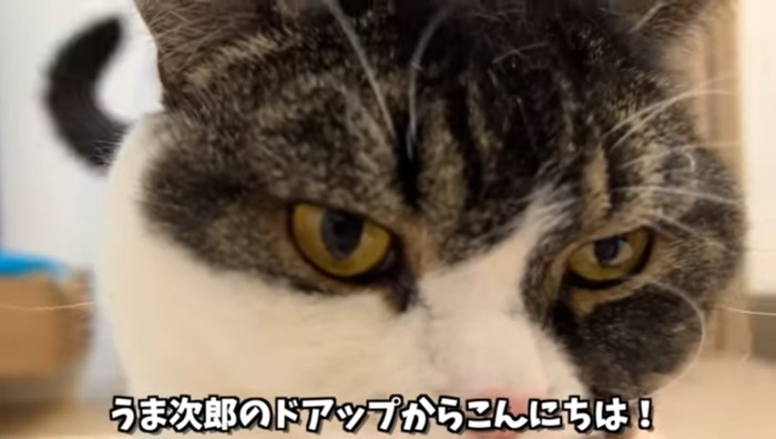 こんにちは