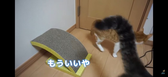 興味なし