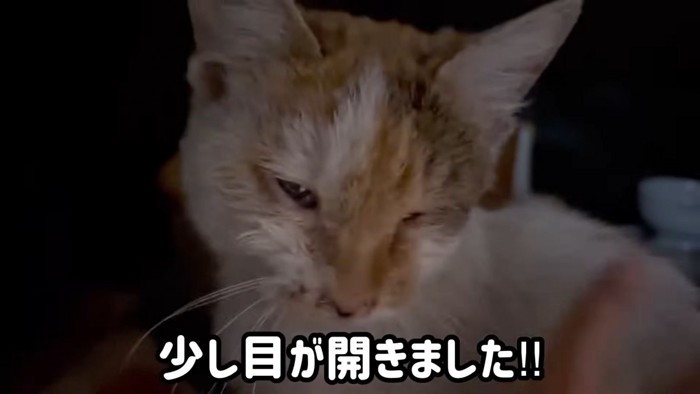 テロップ「少し目が～」