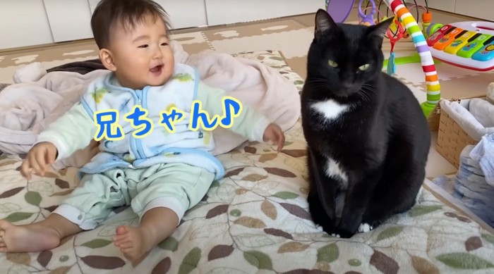 赤ちゃんと黒猫(「兄ちゃん」と文字あり)