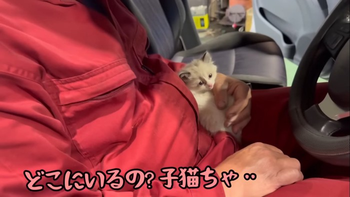 どこにいるの?