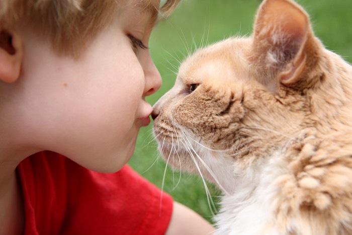 猫と男の子