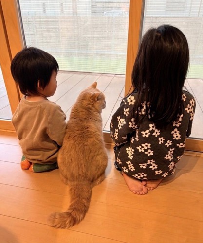 大きくなった娘さん