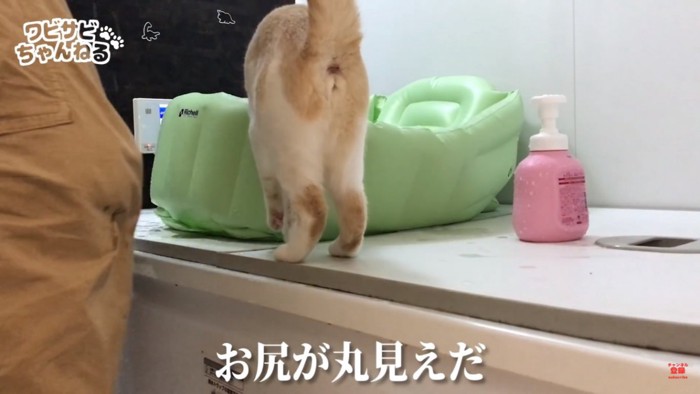 お尻が丸見え