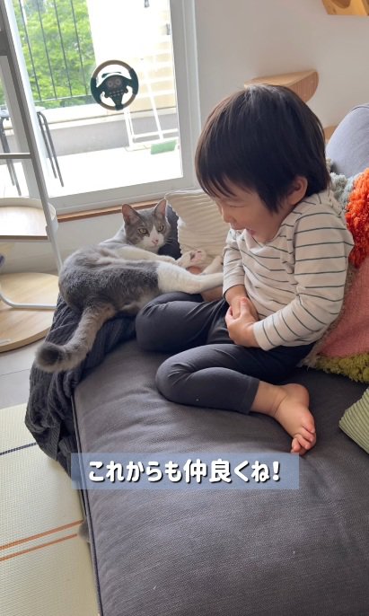 赤ちゃんとソファーでくつろぐ子猫