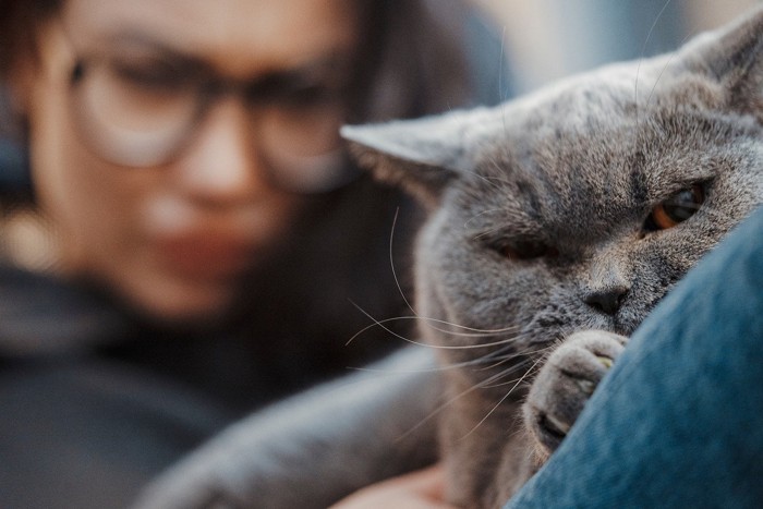 猫を後ろから凝視する女性