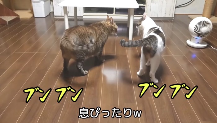 息ぴったり