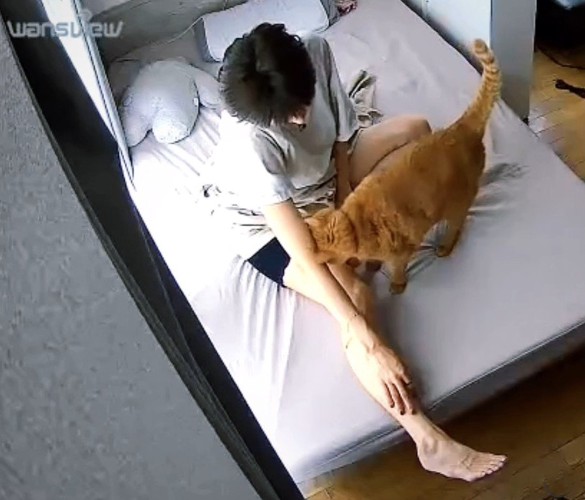 座ったまま眠る飼い主