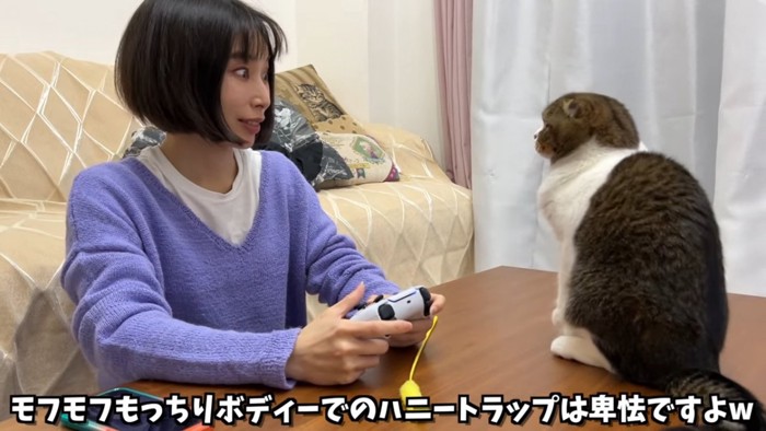 見つめ合う人と猫