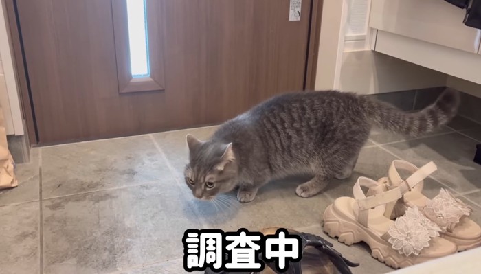 調査中