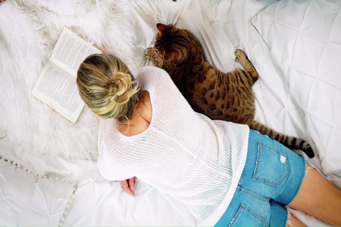 シンクロする猫