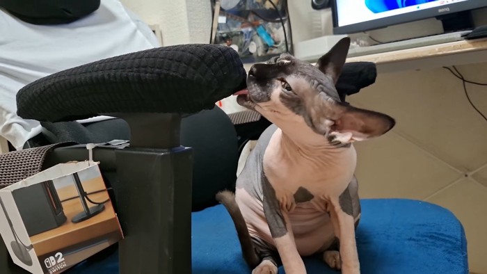 ペロペロ