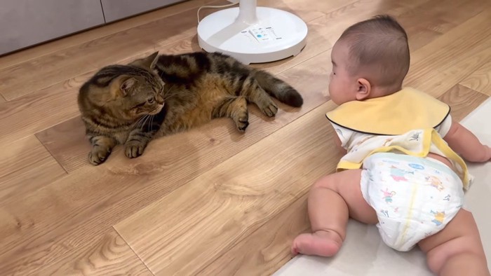 向き合うふたり