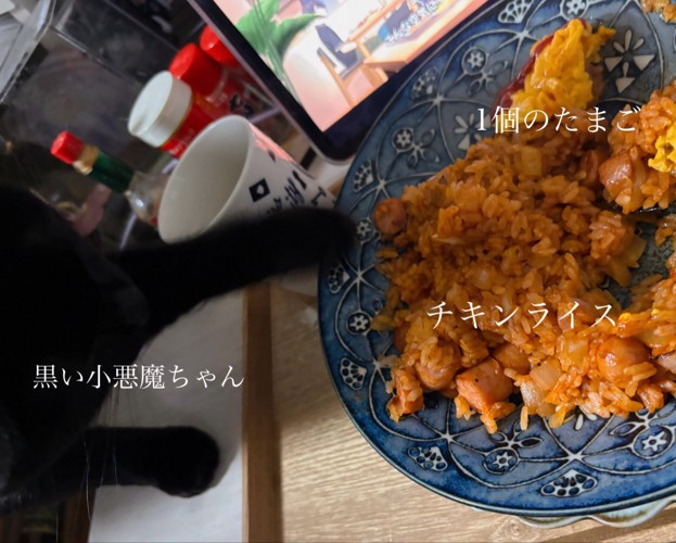 オムライスが入った皿に前足を伸ばす猫