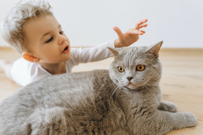 猫を触ろうとする赤ちゃん