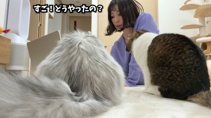 すご！どうやったの？