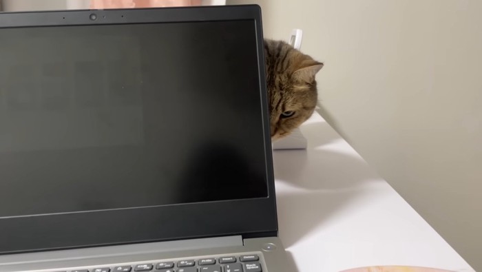 パソコンの陰から