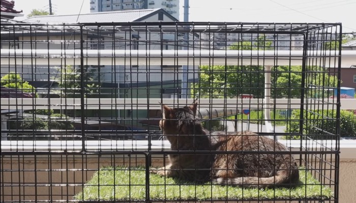 景色を眺め中