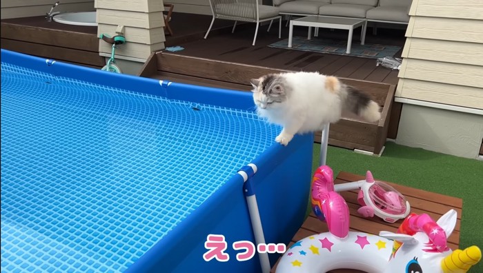 えっ…