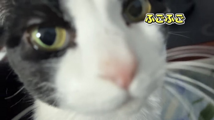 「ふごふご」のテロップ写真